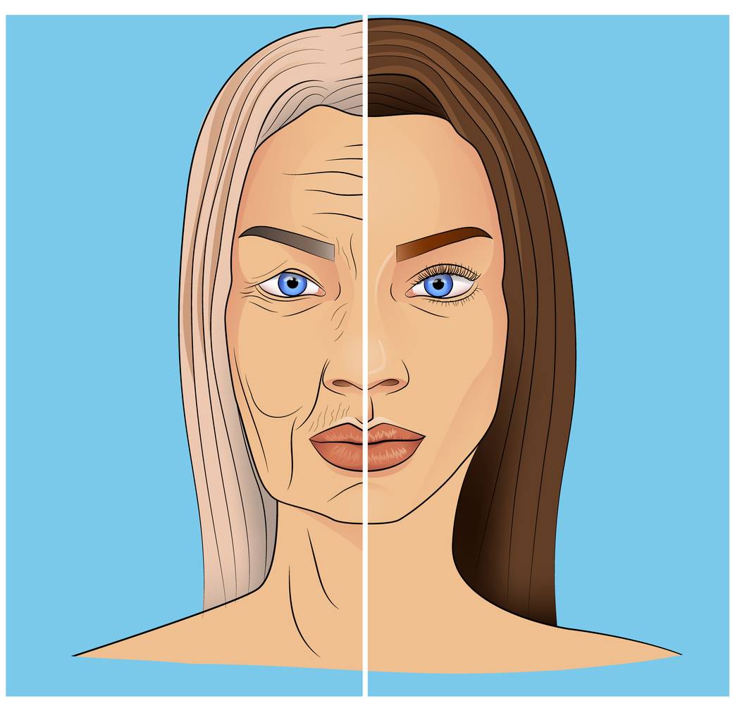 Illustration showing how facial aging works.